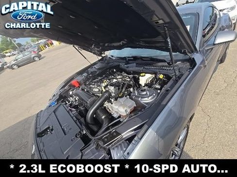 Used 2025 Ford Mustang Coupe RWD image 16