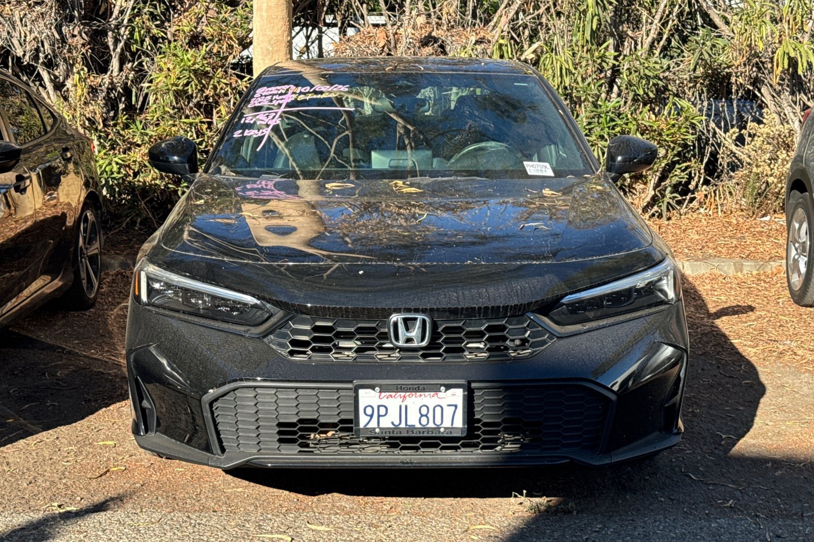 Used 2025 Honda Civic Sport image 3