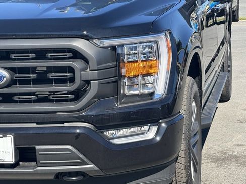 New 2023 Ford F150 XLT w/ Equipment Group 302A High image 39