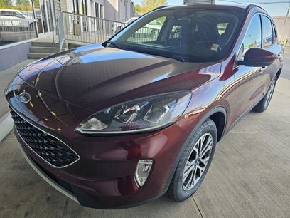 Used 2021 Ford Escape SEL