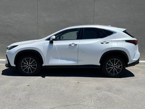 Used 2025 Lexus NX 350 AWD w/ Cold Area Package image 6