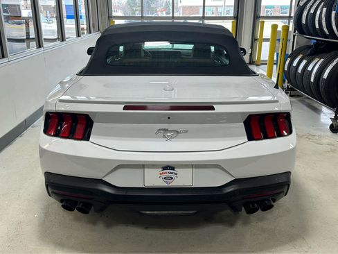 Used 2025 Ford Mustang Premium image 6