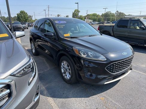 Used 2020 Ford Escape SE FWD image 7