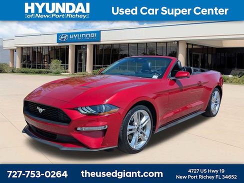 Used 2021 Ford Mustang Premium w/ Equipment Group 201A RWD image 1