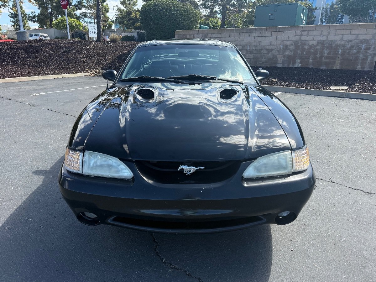 Used 1997 Ford Mustang Cobra RWD image 5