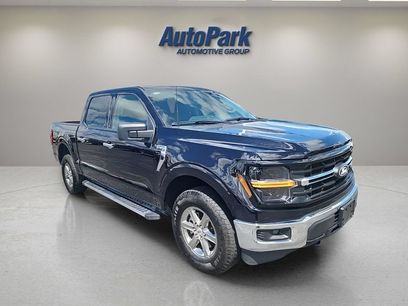 Used 2025 Ford F150 XLT w/ Equipment Group 301A Standard