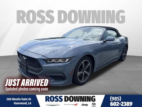 Used 2024 Ford Mustang Premium RWD image 1