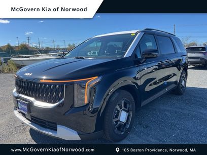 New 2026 Kia Carnival EX