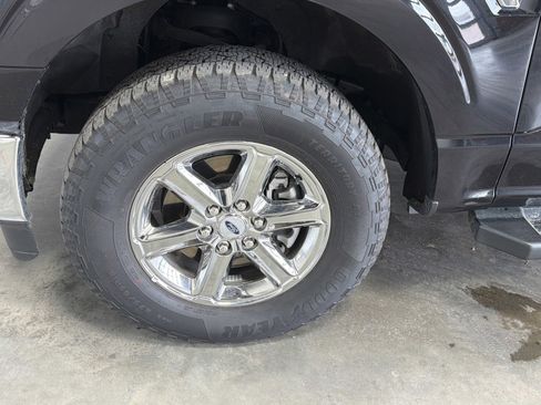 Used 2025 Ford F150 XLT w/ Equipment Group 301A Standard AWD/4WD image 5
