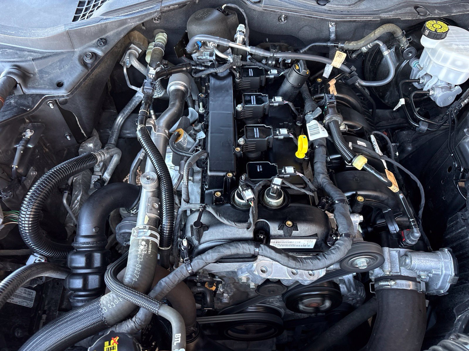 Used 2023 Ford Mustang Coupe RWD image 28