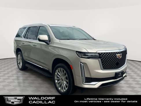 Used 2024 Cadillac Escalade Premium Luxury AWD/4WD image 1