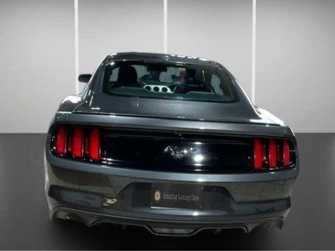 Used 2017 Ford Mustang Premium w/ Equipment Group 201A image 7