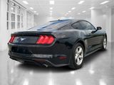 Used 2019 Ford Mustang Coupe image 3
