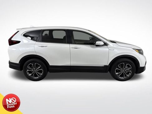 Used 2020 Honda CR-V EX-L image 2