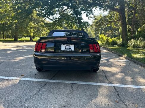 Used 2003 Ford Mustang Cobra RWD image 8