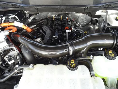 Used 2025 Ford F150 XLT w/ Equipment Group 301A Standard AWD/4WD image 13