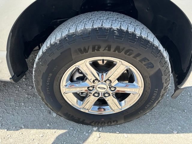 Used 2025 Ford F150 XLT w/ Equipment Group 301A Standard AWD/4WD image 28