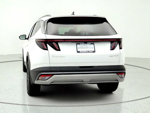 Used 2025 Hyundai Tucson Limited AWD/4WD image 6