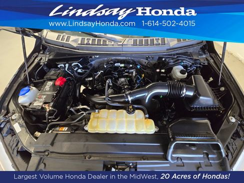 Used 2020 Ford F150 XLT w/ Equipment Group 302A Luxury AWD/4WD image 24