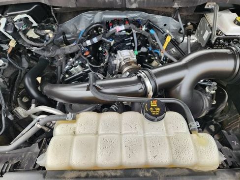 Used 2025 Ford F150 STX w/ Equipment Group 200A RWD image 32