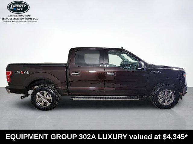 Used 2019 Ford F150 XLT w/ Equipment Group 302A Luxury AWD/4WD image 2