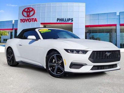 Used 2024 Ford Mustang Premium