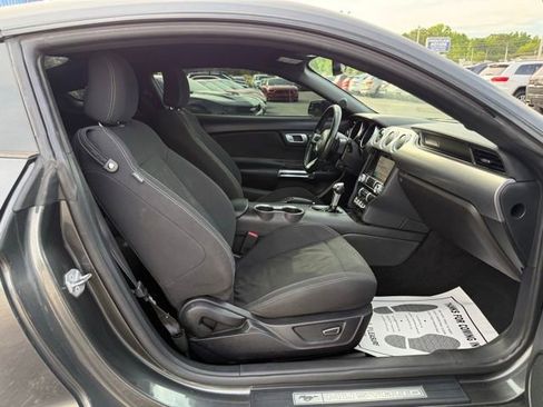 Used 2019 Ford Mustang GT w/ Equipment Group 301A RWD image 9