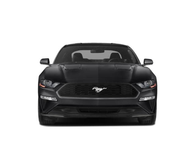 Used 2018 Ford Mustang GT Premium w/ Equipment Group 401A RWD image 4