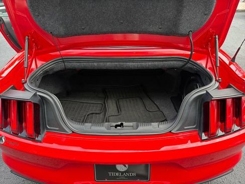 Used 2017 Ford Mustang GT Premium w/ Equipment Group 401A RWD image 11