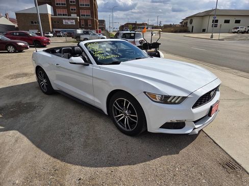 Used 2017 Ford Mustang Premium RWD image 25