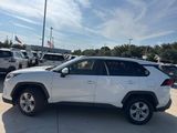 Used 2019 Toyota RAV4 XLE image 5