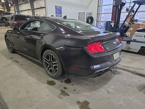 Used 2022 Ford Mustang Premium image 5