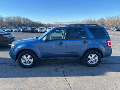 Used 2010 Ford Escape XLT