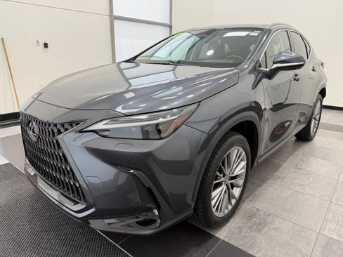 Used 2022 Lexus NX 350h AWD image 6