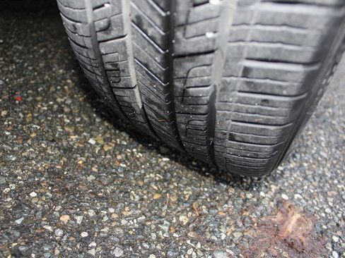 Used 2023 Kia Niro Wind image 27