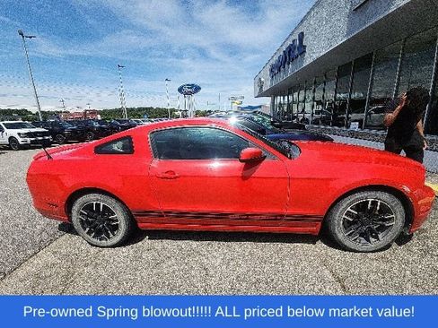 Used 2014 Ford Mustang Premium w/ Equipment Group 201A RWD image 5
