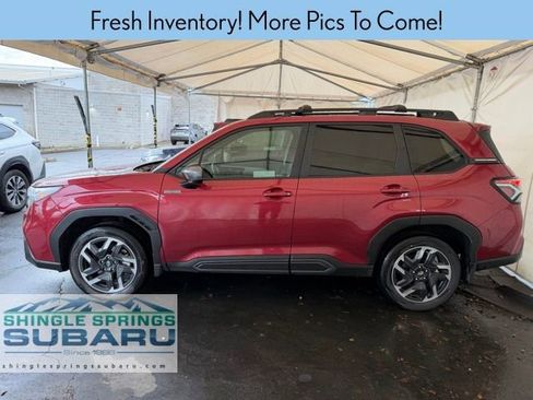 Used 2025 Subaru Forester Limited image 4