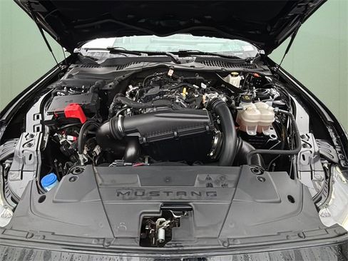 Used 2024 Ford Mustang Premium image 12