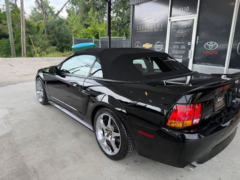 Used 1999 Ford Mustang Cobra RWD image 8