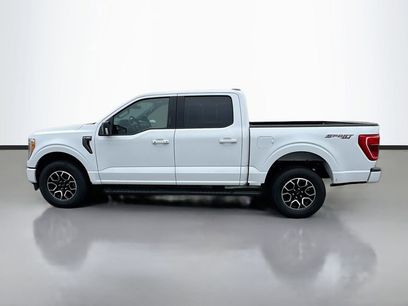 Used 2023 Ford F150 XLT w/ Equipment Group 302A High