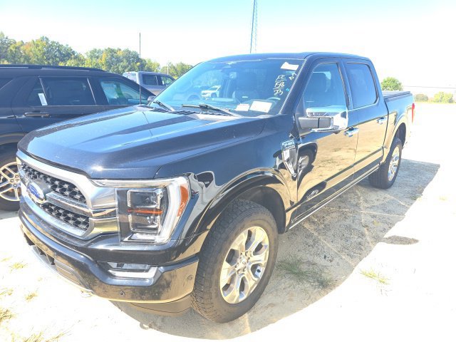 Used 2023 Ford F150 Platinum w/ Equipment Group 701A High AWD/4WD image 2