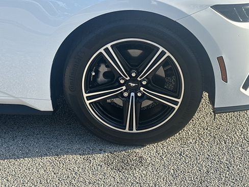 Used 2025 Ford Mustang Premium RWD image 6