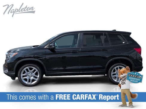 Used 2025 Honda Passport EX-L image 2