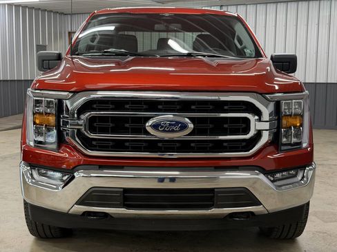 Used 2023 Ford F150 XLT w/ Equipment Group 302A High image 5