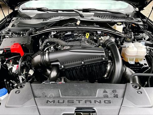 Certified 2025 Ford Mustang Premium image 32