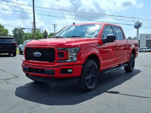 Used 2019 Ford F150 XLT w/ Equipment Group 302A Luxury AWD/4WD image 4