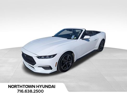Used 2025 Ford Mustang Premium RWD image 1