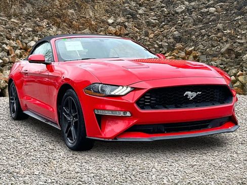 Used 2020 Ford Mustang Premium RWD image 9