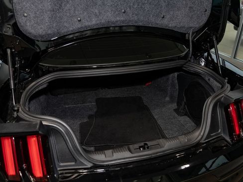Used 2019 Ford Mustang Shelby GT350R w/ GT350R Equipment Group 920A RWD image 15