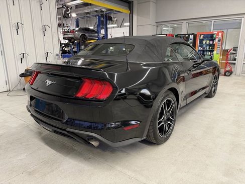 Used 2023 Ford Mustang Premium image 6